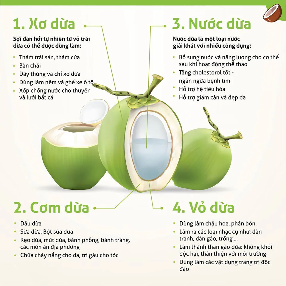 an-la-de-khoe-uong-nuoc-dua-moi-ngay-co-tot-khong-a3