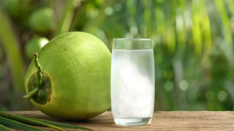 an-la-de-khoe-uong-nuoc-dua-moi-ngay-co-tot-khong-6