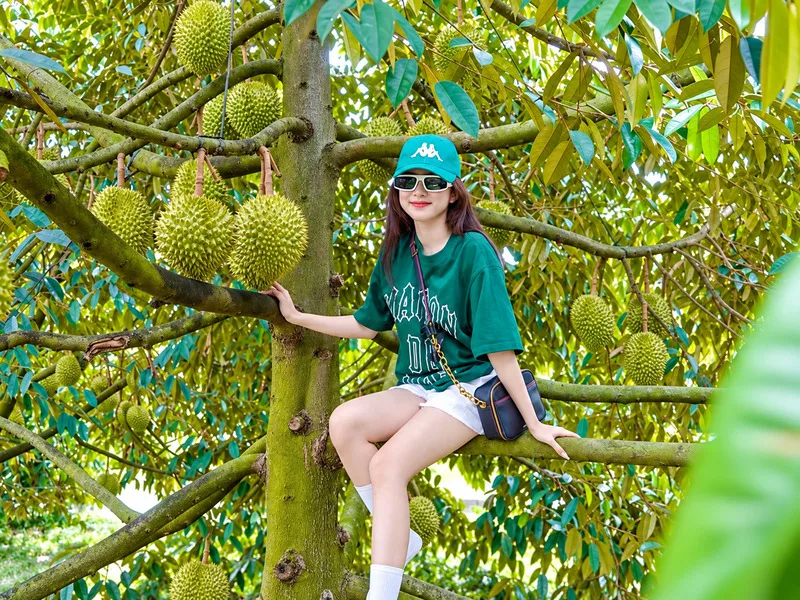 Những vườn trái cây xanh mát với nhiều đặc sản nổi tiếng tạo nên nét hấp dẫn riêng của du lịch miền Tây.